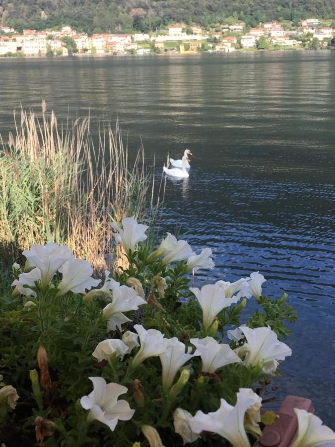 La Casa Dei Cigni Sul Lago D'Orta Omegna Exteriér fotografie